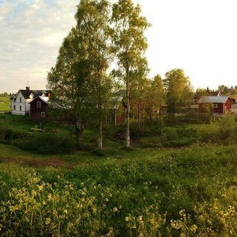 Upplev Helsinglight i sommar - FX-workshop, fantastisk natur och vänner för en livstid