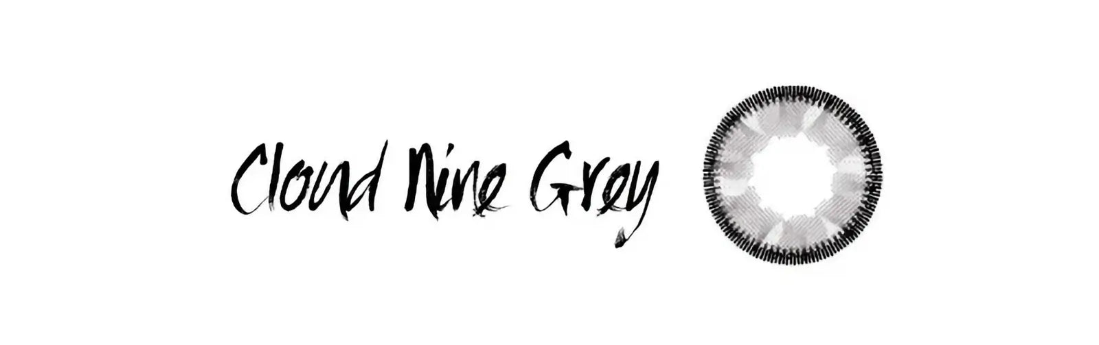 Vassen Cloud Nine Grey, coloured lenses (1 pair | Yearly)