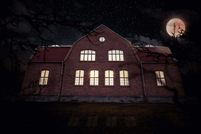 The actual house of Helsinglight at night with all lights on. An orange moon in the background and leafless bushes in foreground.
